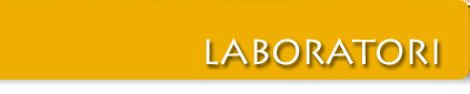 Laboratori